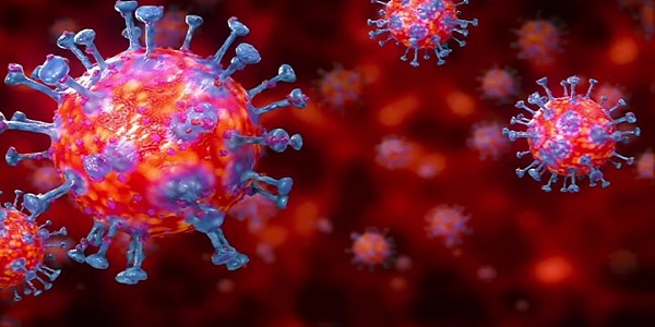 Savaştan daha beter “coronavirüs belası” bizi de buldu